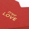 Textured Red Heart-Shaped Rigid Box with Gold Foil Logo